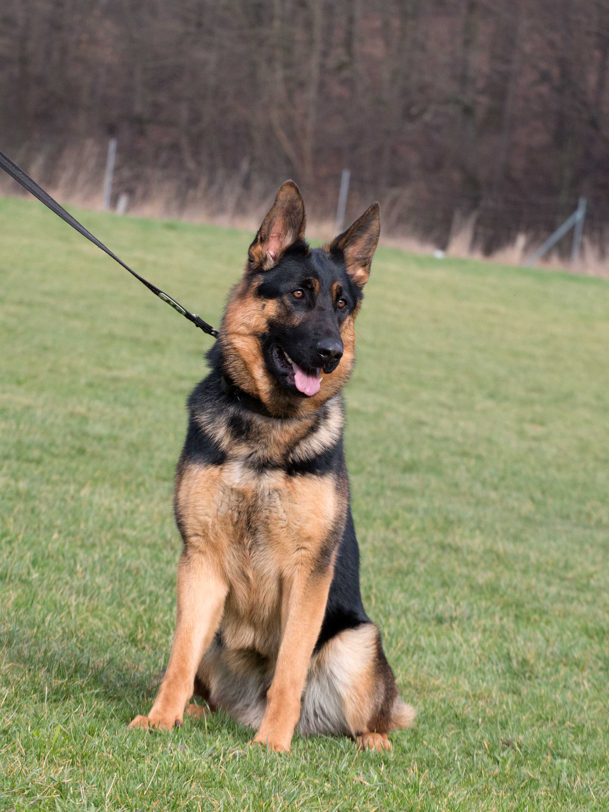 17.02.2024 126 Leska